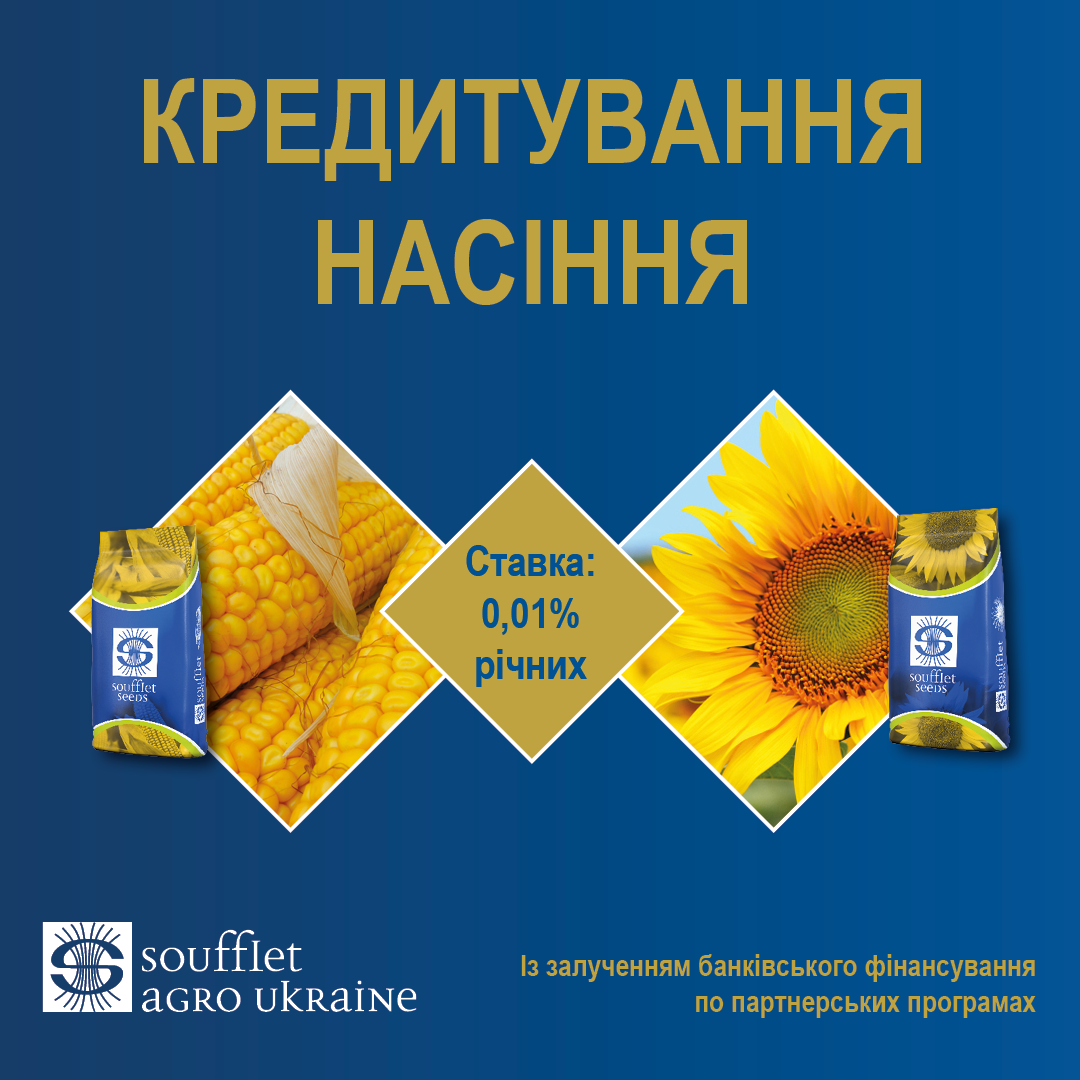 Програма кредитування насіння кукурудзи і соняшника Soufflet Seeds
